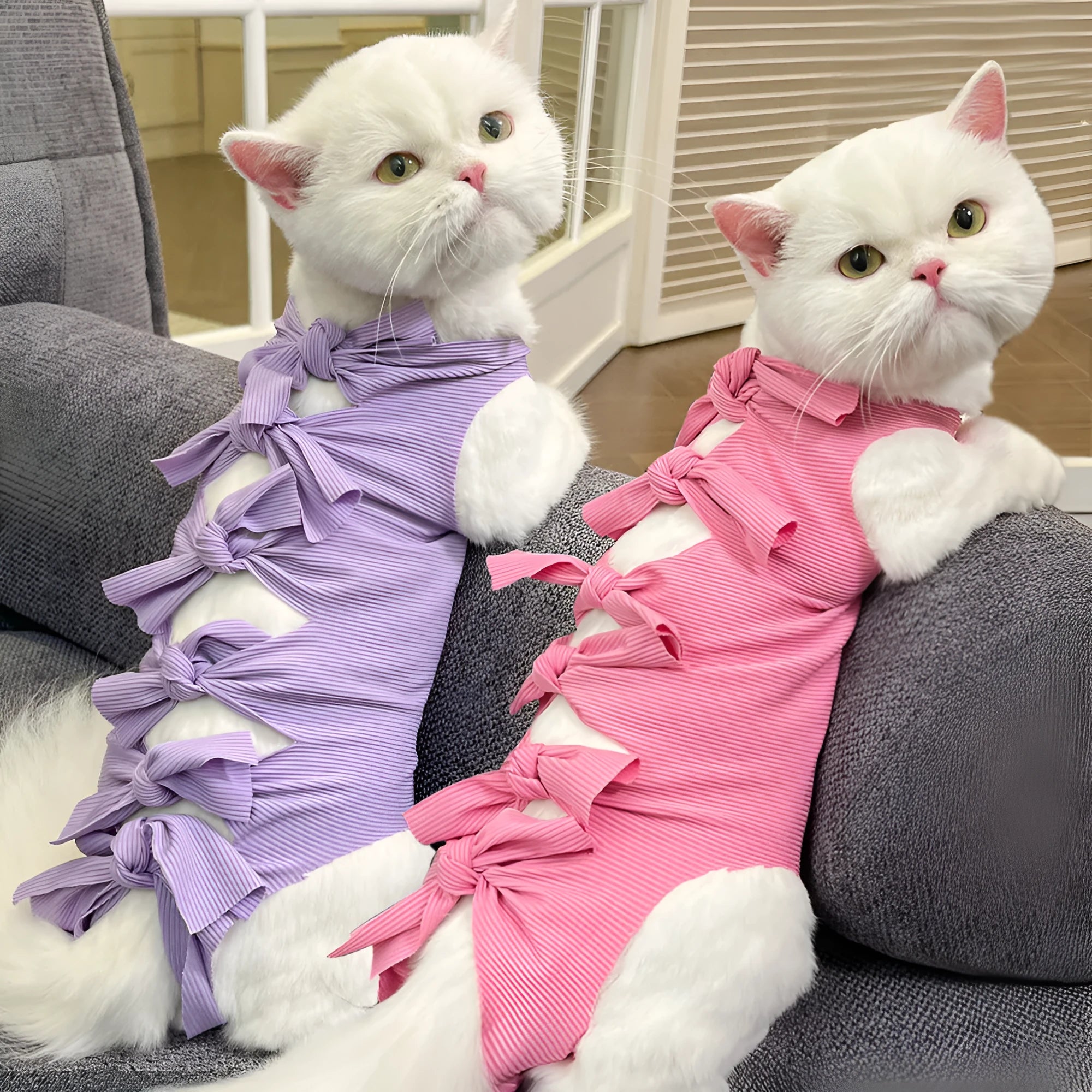 Adjustable lace-up polyester recovery suit for a cat after spaying surgery, shown in blue.