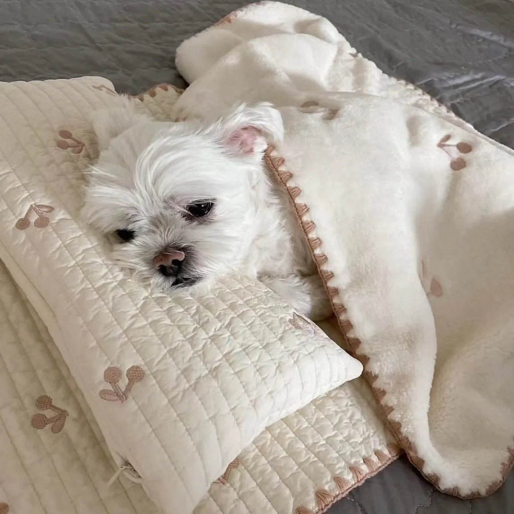 Square removable washable dog bed set with pillow, mattress, and comforter in simple bear design.