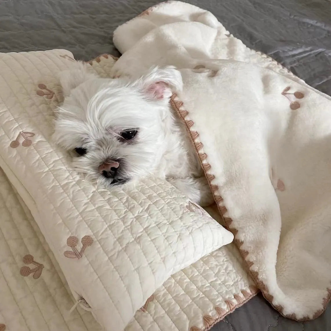 Square removable washable dog bed set with pillow, mattress, and comforter in simple bear design.