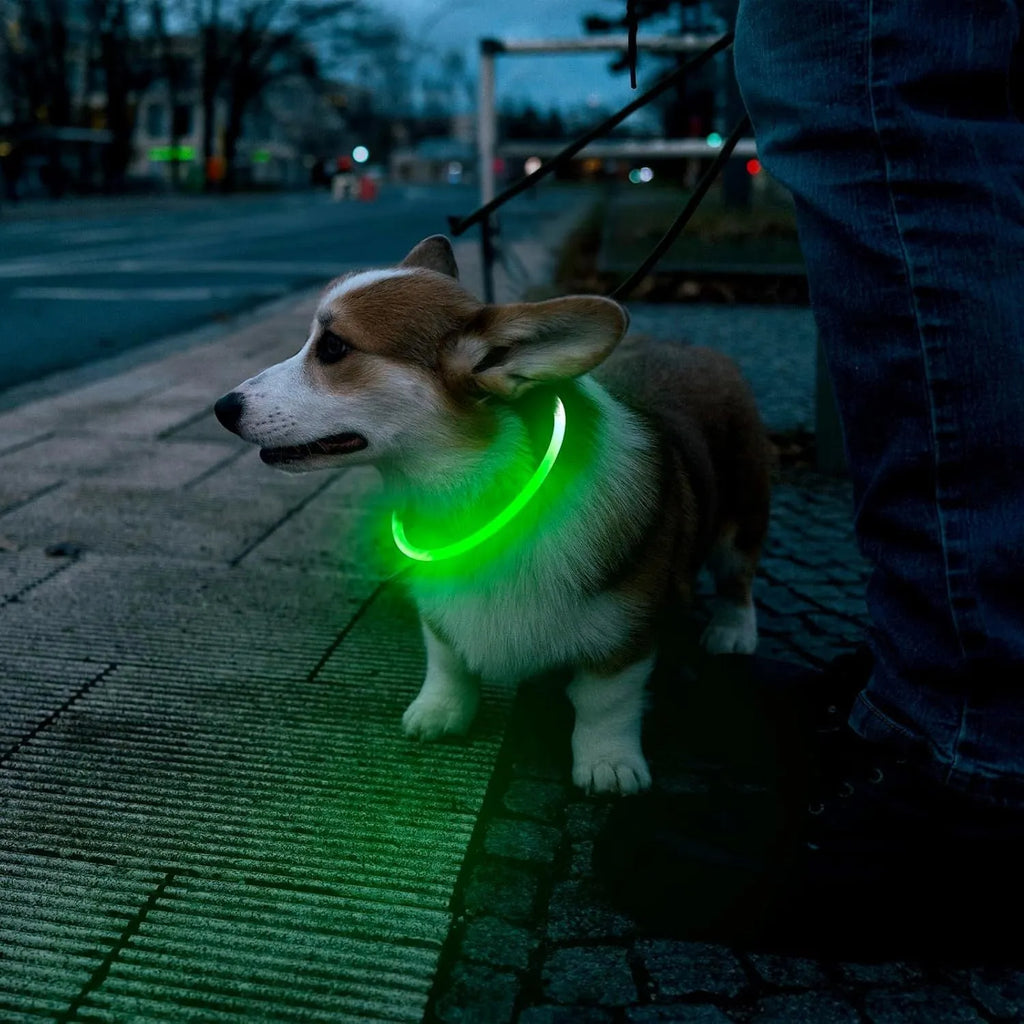 USB rechargeable LED light-up dog collar in blue, showing the light unit and adjustable TPU strap.