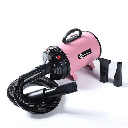High-power mute pet hairdryer in black, white, pink, and blue for quick drying of pets