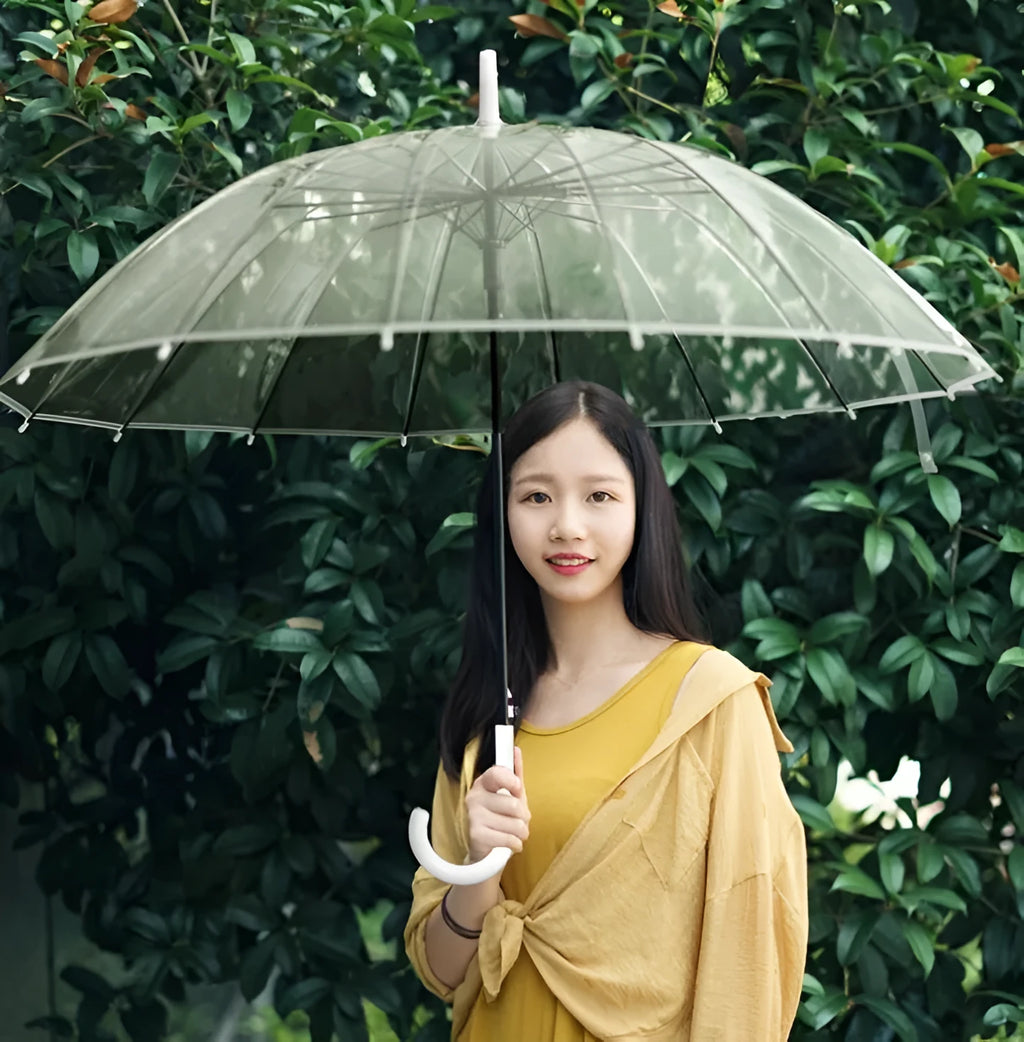 Transparent 16-rib umbrella with long black handle, showing black steel skeleton structure