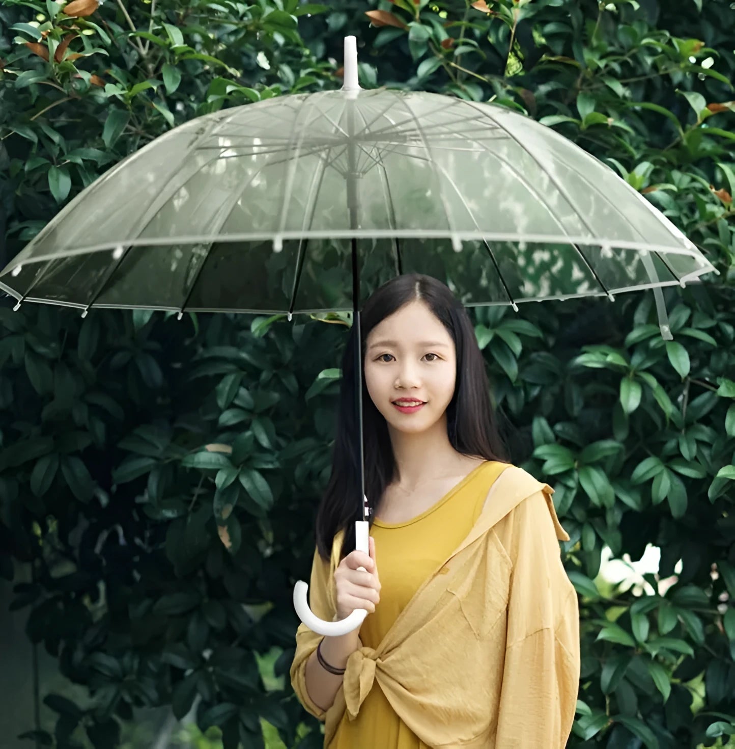Transparent 16-rib umbrella with long black handle, showing black steel skeleton structure