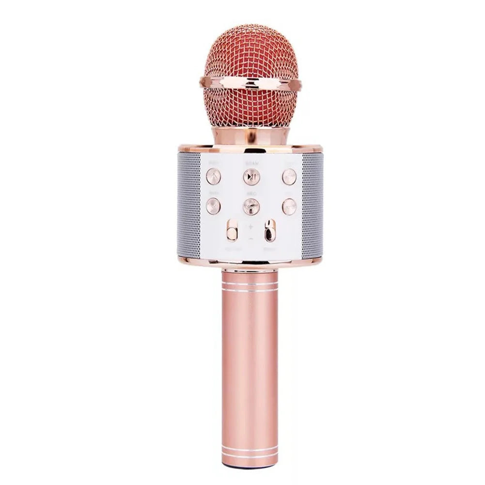 Wireless Microphone Bluetooth Mini Home KTV Speaker with optional lights