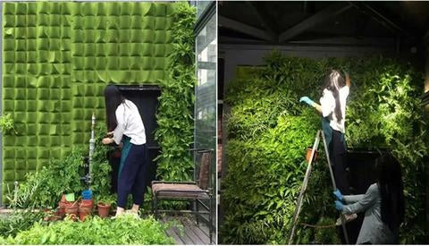 Wall mount hanging planting bags for vertical gardening in green and black