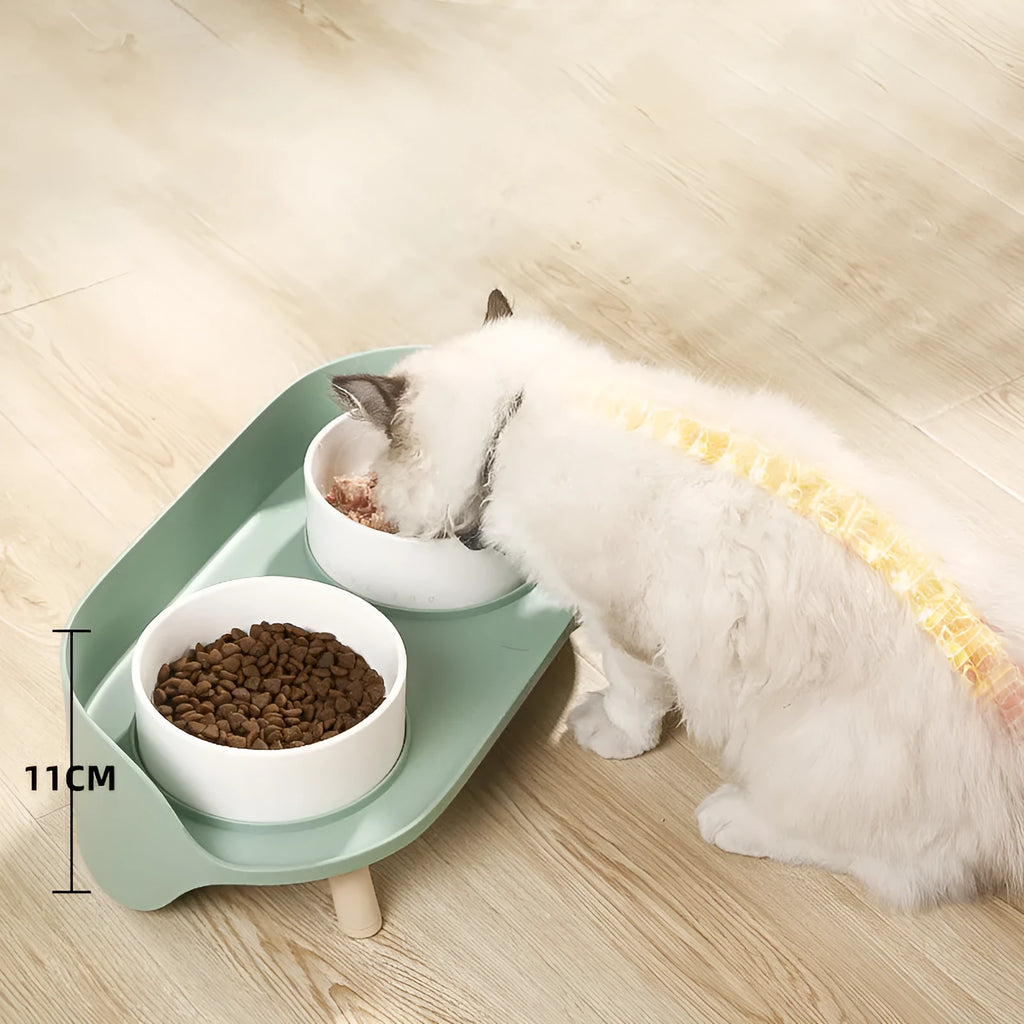 Green adjustable pet bowl set with tilted double compartments for food and water feeding