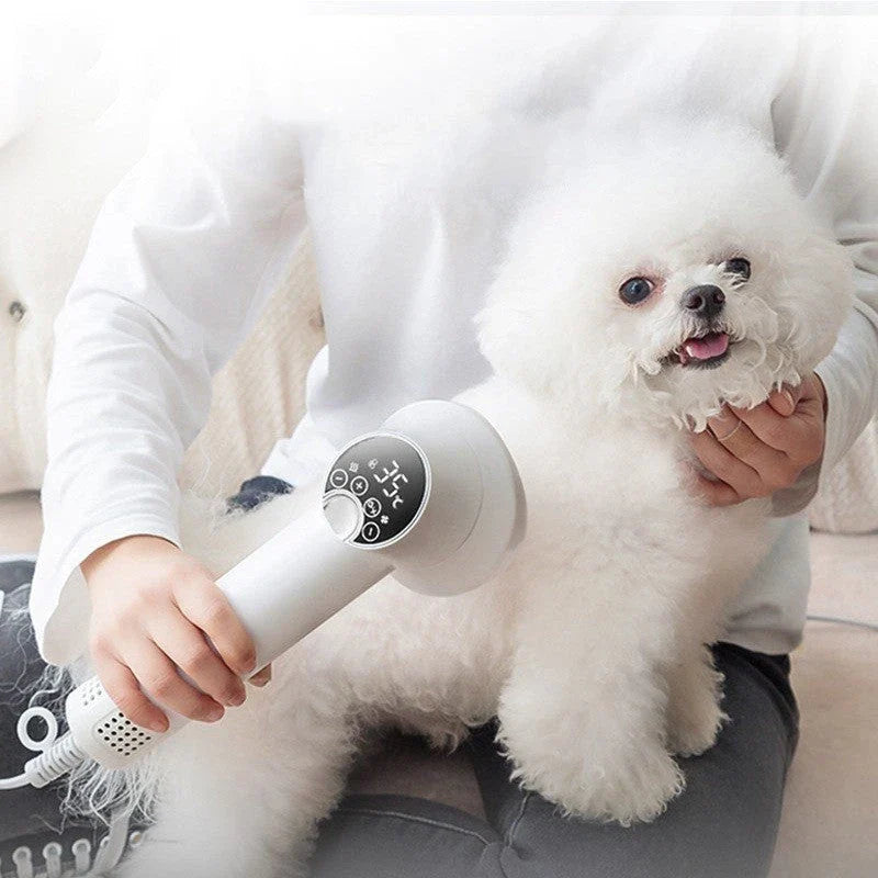 Premium pet hair dryer with powerful drying capabilities, adjustable speed settings, and quiet operation for stress-free grooming of dogs, cats, and small animals.