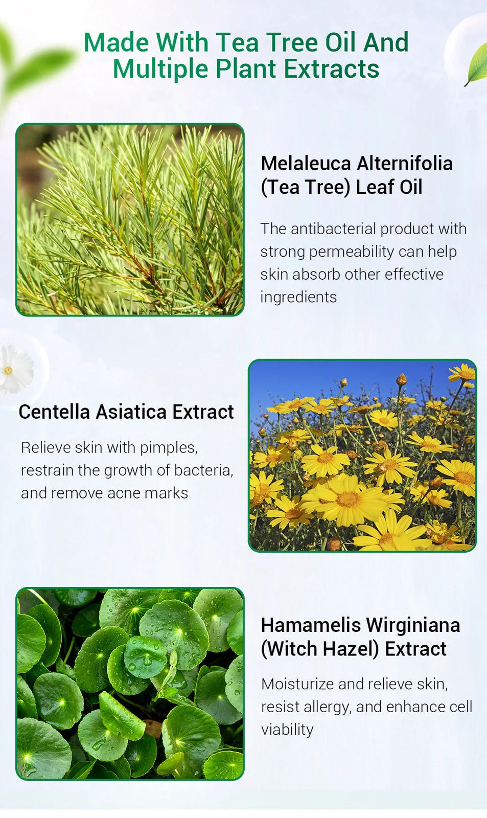 BREYLEE Tea Tree Acne Cream 30g container for acne and scar treatment