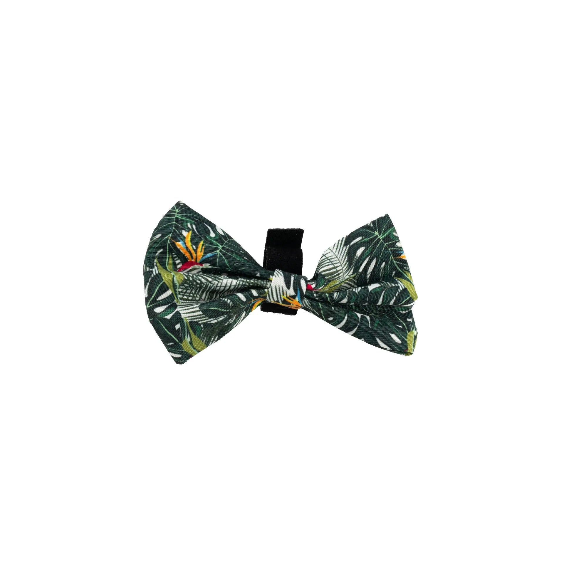 Adjustable cloth pet harness set with leash, collar, waste bag, bow tie, and scarf in six coordinated pieces