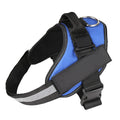 Personalised reflective nylon no-pull dog harness vest shown in a colour option, featuring adjustable straps and a patch panel.