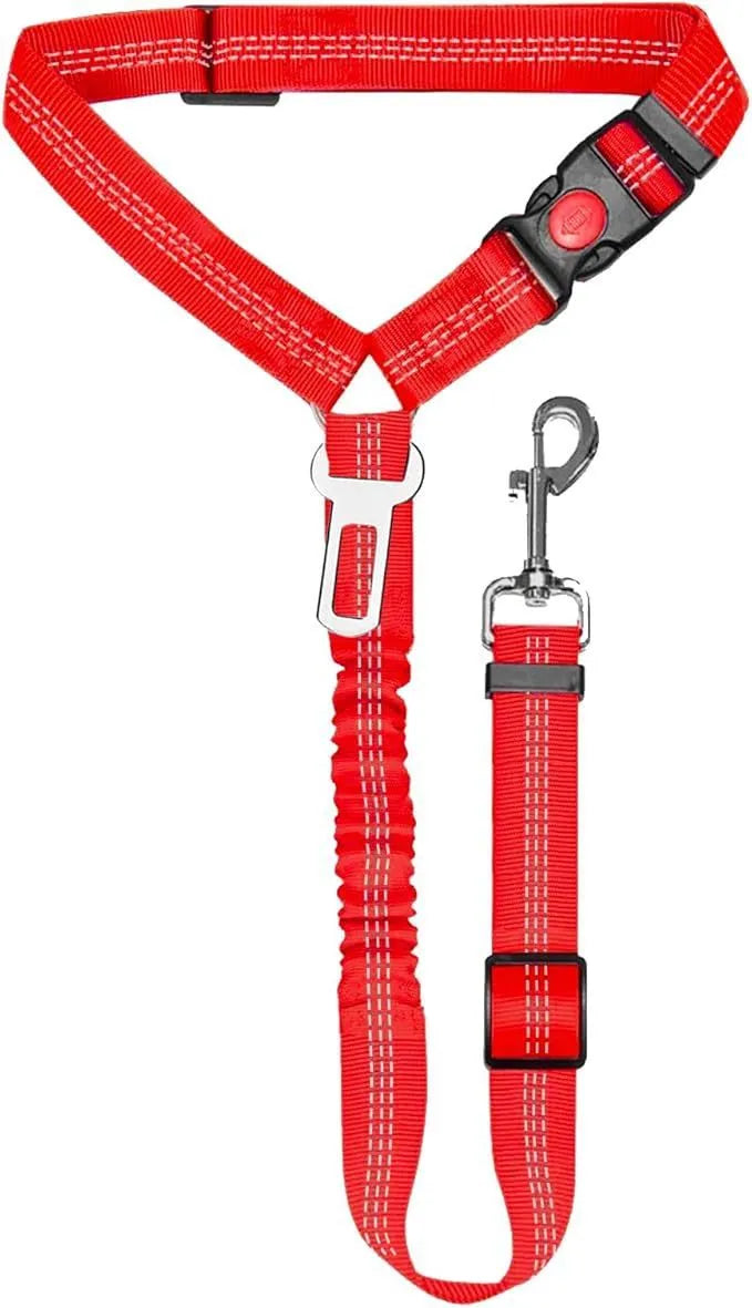 Nylon dog leash with metal buckle in multiple colour options