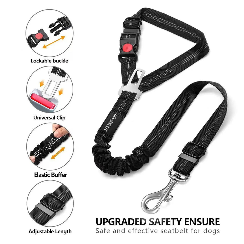 Nylon dog leash with metal buckle in multiple colour options