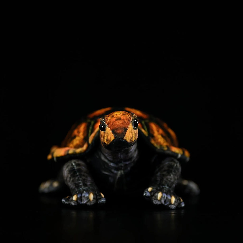 Coffee-coloured Japanese stone turtle plush toy 32cm from mouth to tail on neutral background