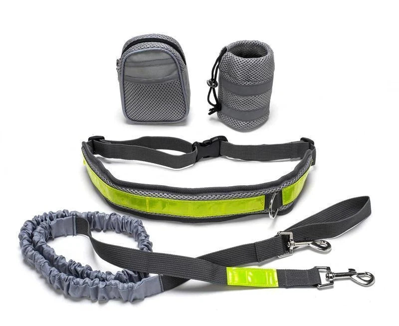 Adjustable hands-free dog leash set in gray, black, green, and red options