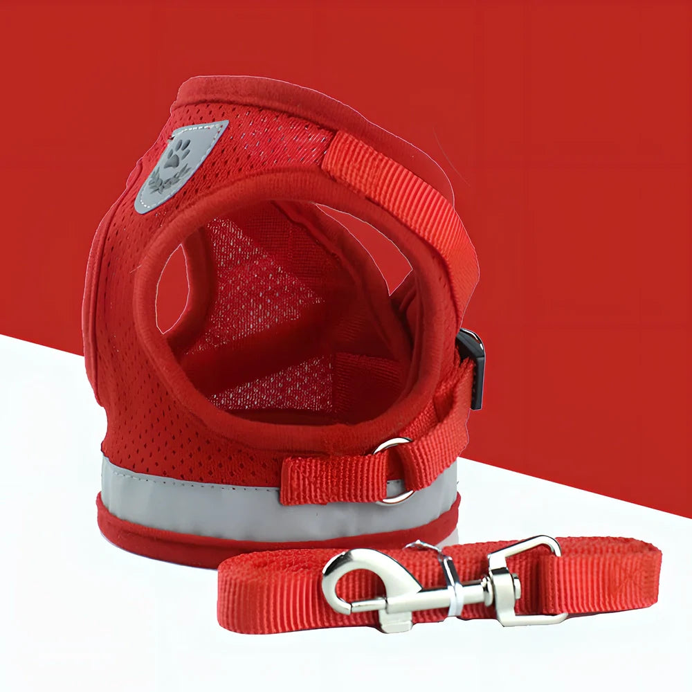 Blue breathable mesh pet harness with reflective belt, adjustable for 1.5-10kg dogs, includes 120cm towing rope for safe walks