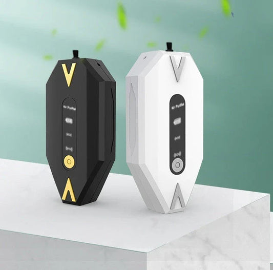 Portable and rechargeable personal air purifier with adjustable modes, memory function, and wearable design