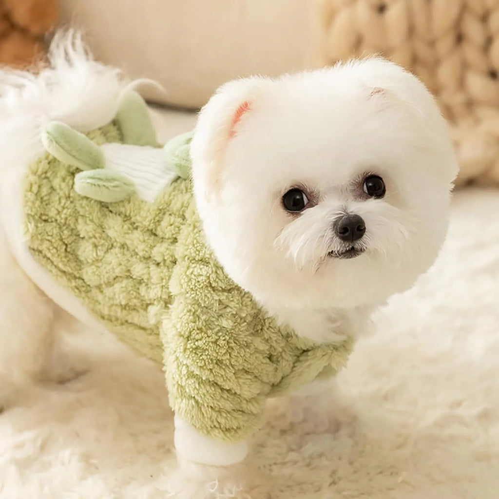 Green fluffy frog pet hoodie for small and medium dogs and cats with white trim and D-ring