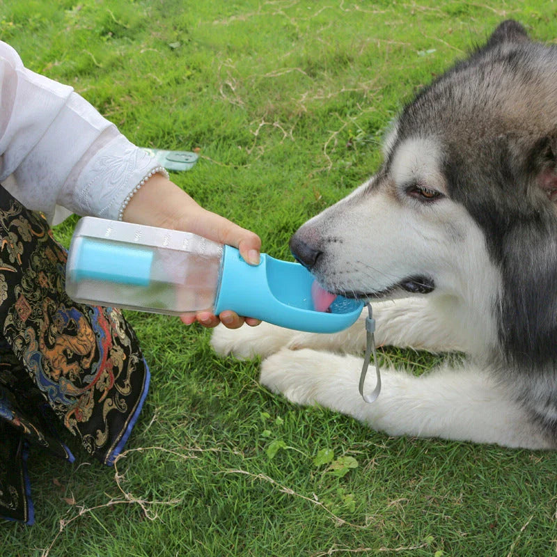 3-in-1 multifunctional pet water bottle with food feeder and waste bag dispenser in various color options