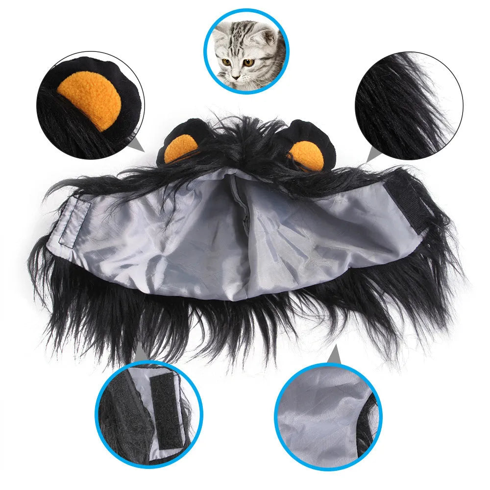 Pet cat wearing lion mane headgear wig hat in black colour for funny costume dress up