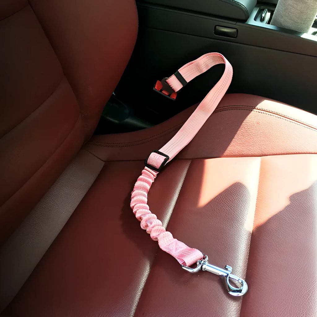 Pet elastic reflective retractable car seat belt in polyester material, colour blue, size 2.5x75cm