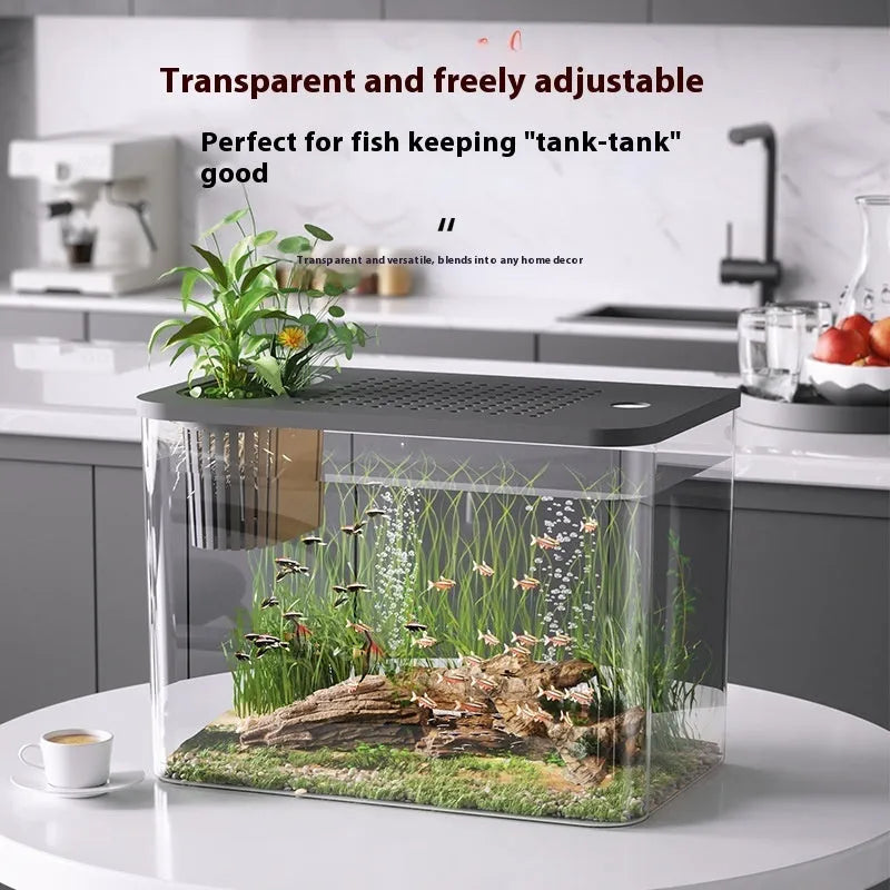 Medium black and white plastic betta fish tanks with lids on a plain background.