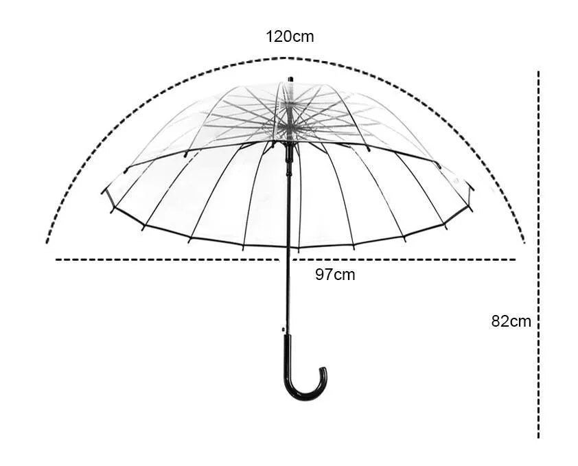 Transparent 16-rib umbrella with long black handle, showing black steel skeleton structure