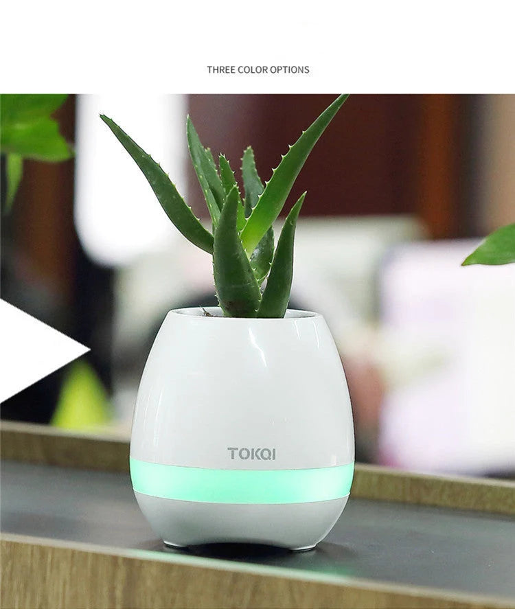 Touch-sensitive music vase desktop audio in pink, blue, and white