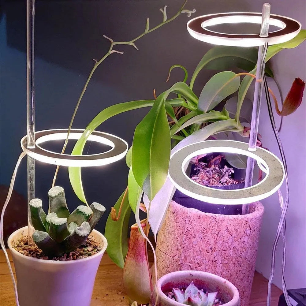 LED grow light with Angel Ring design showing full-spectrum LEDs in zinc alloy housing