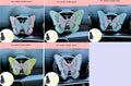 Blue fabric embroidery butterfly car air vent decoration with clip-on attachment