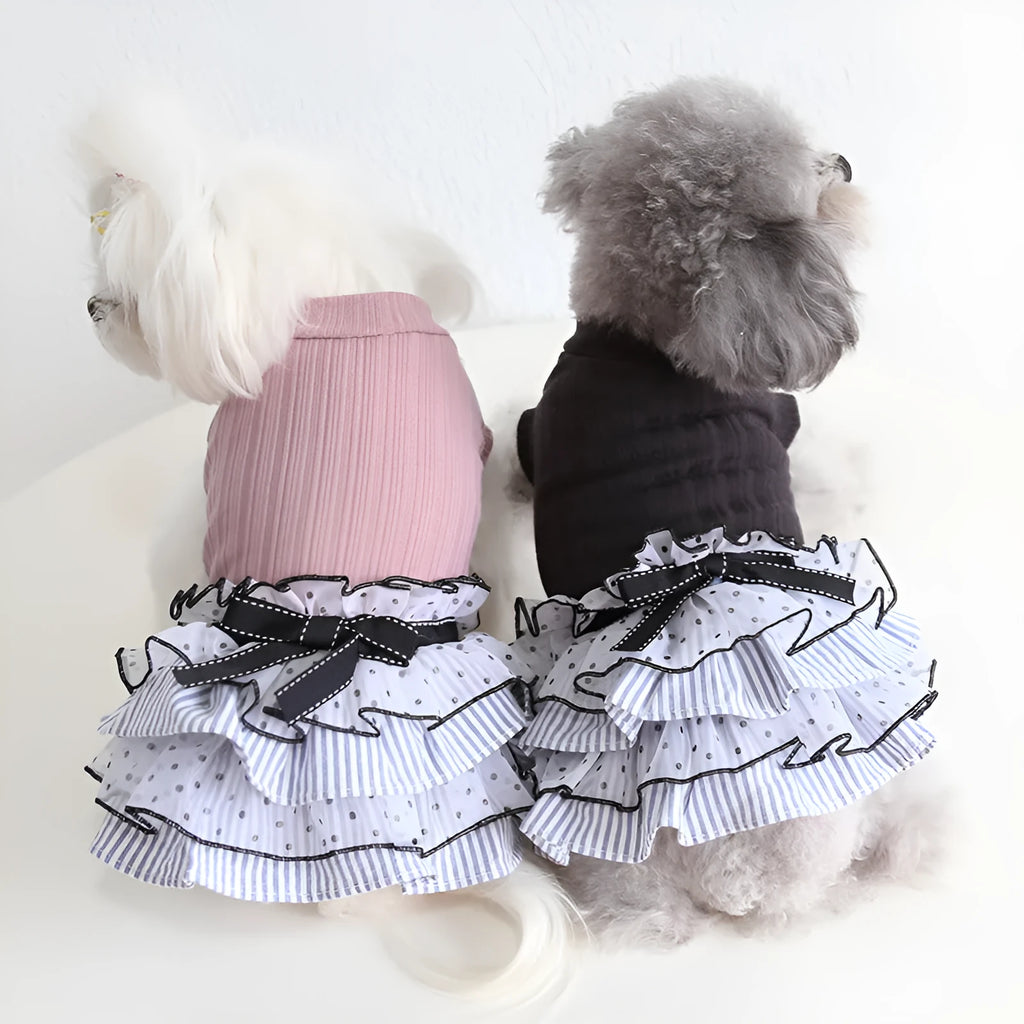 Polka dot lace cake dress for dogs in princess style available in three colours