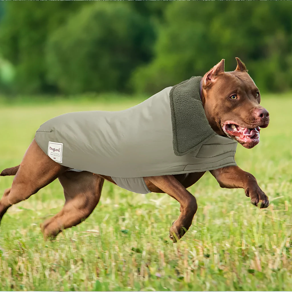 Lapel turtleneck dog cotton-padded clothes vest in polyester available in three colours and four sizes