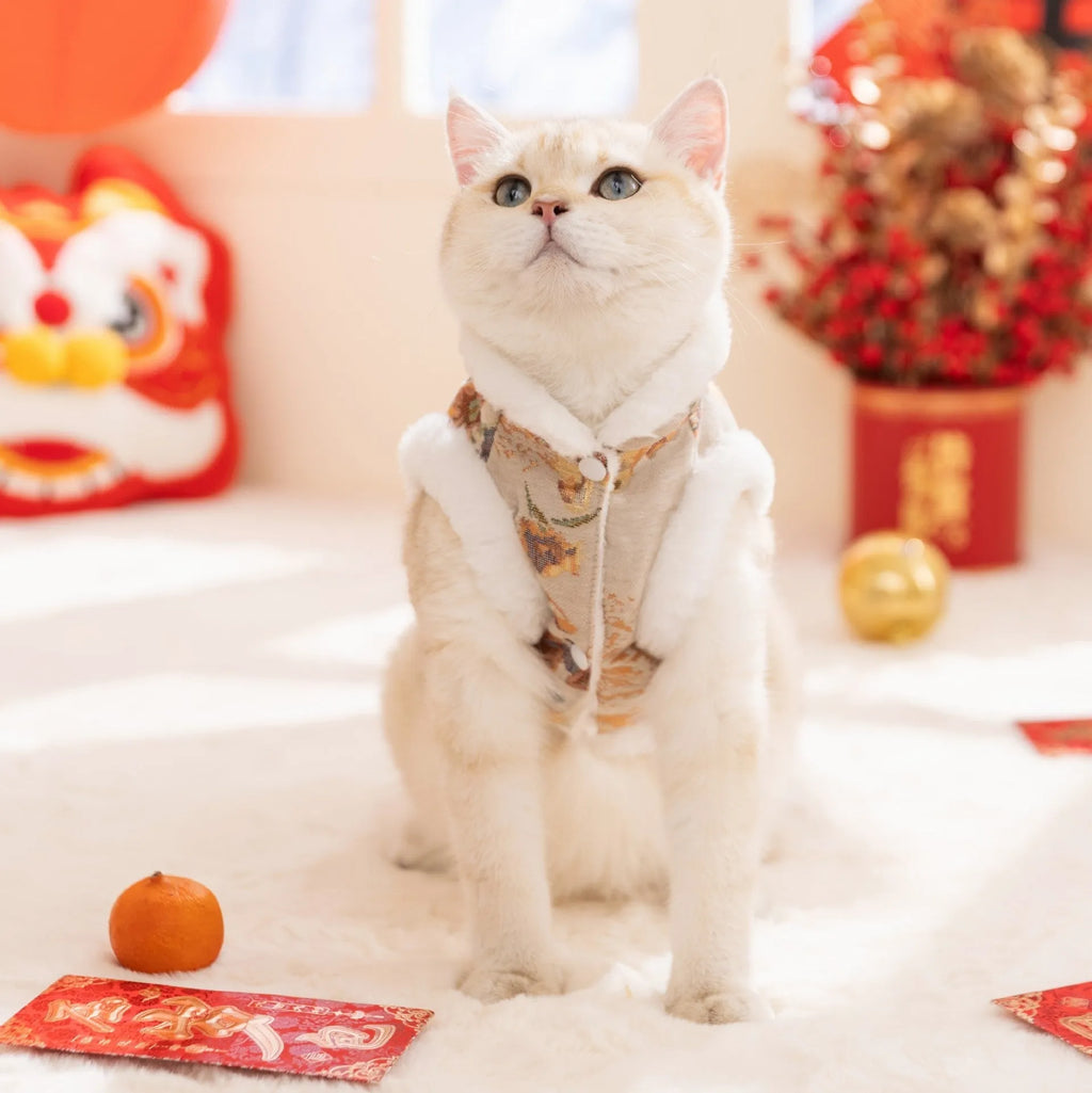 Small dog wearing red and gold brocade Tang suit with frog knot and white fluffy trim for Lunar New Year