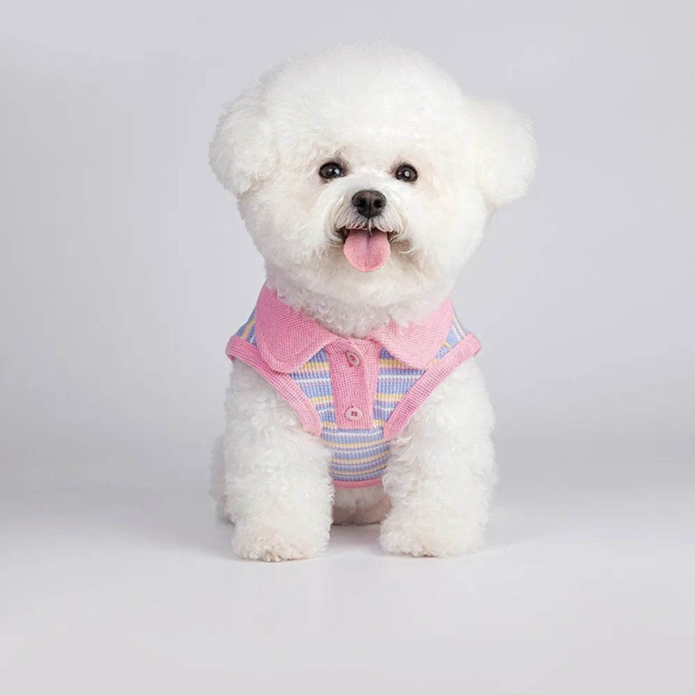 Pink purple small dog autumn vest showing front view with size options from XXS to XXL