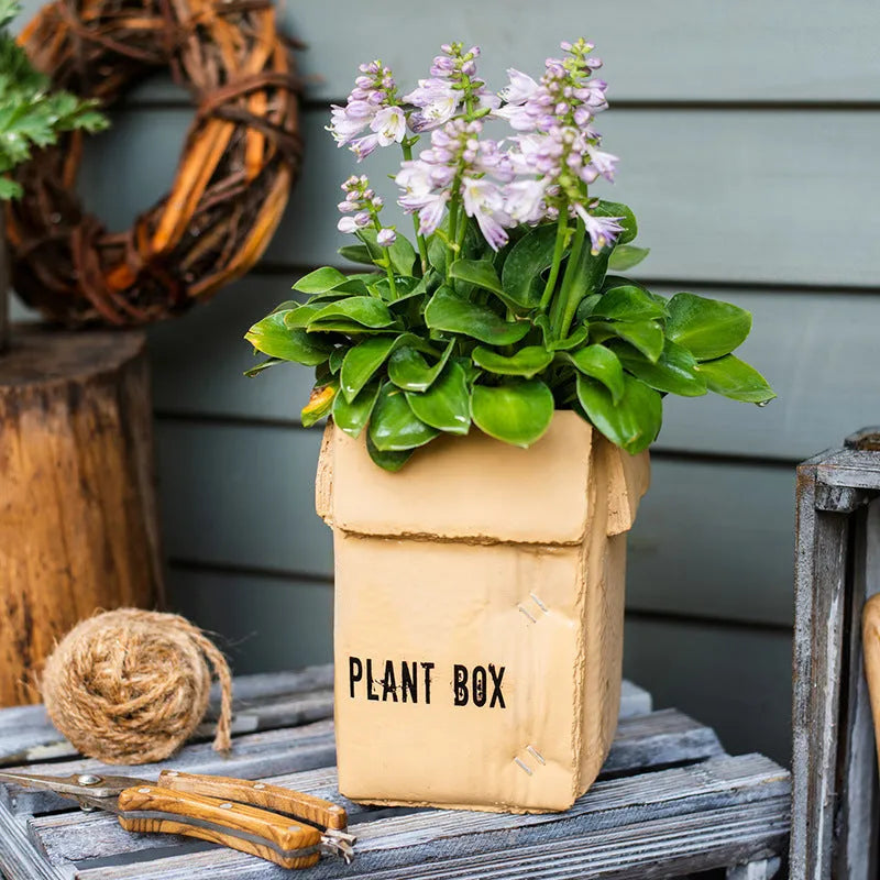 Cement brown paper box style flowerpot with drainage holes for indoor plants.