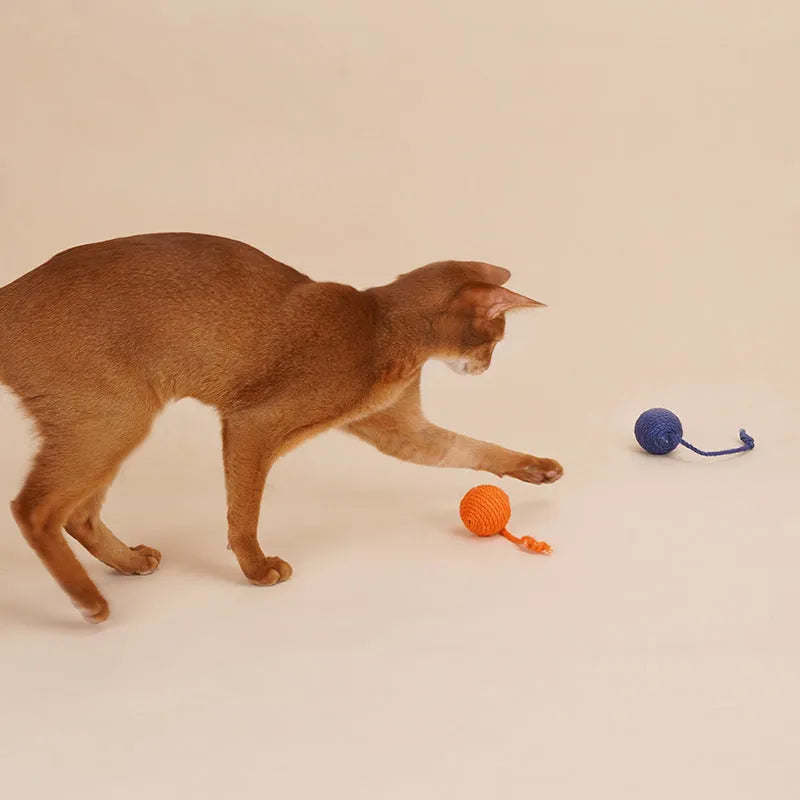 Bite-resistant cat teaser wand set with colourful attachments and catnip ball on a blue background