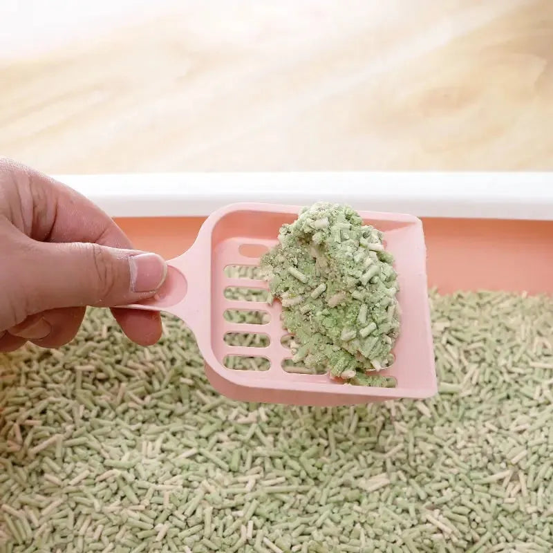 Blue plastic cat litter scoop showing 20cm length and slotted design for sifting pet litter