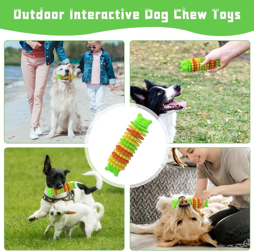 Blue caterpillar-shaped rubber dog chew toy for aggressive chewers.
