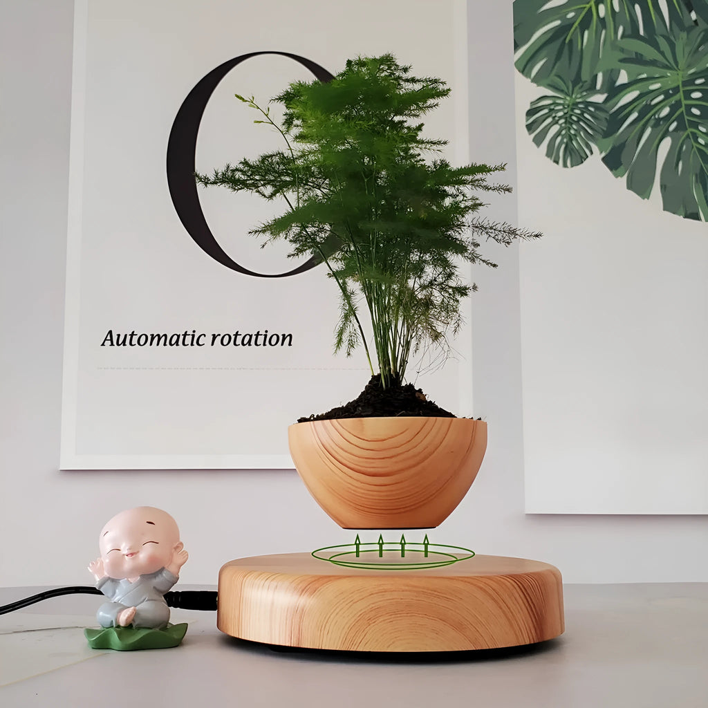 Maglev potted desktop ornament in light wood grain showing floating pot above base with UK plug