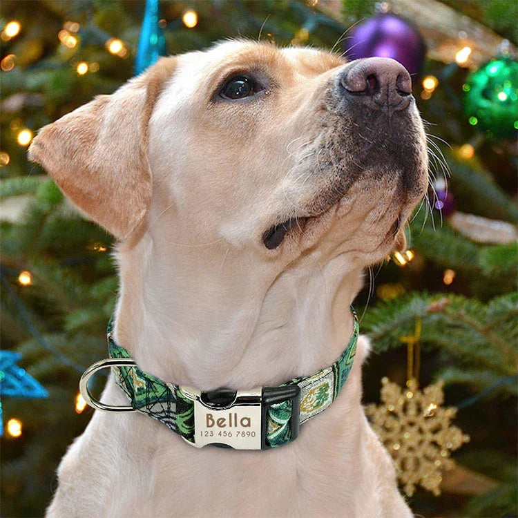 Reflective and durable dog collar with adjustable fit and visibility for small, medium, and large breeds