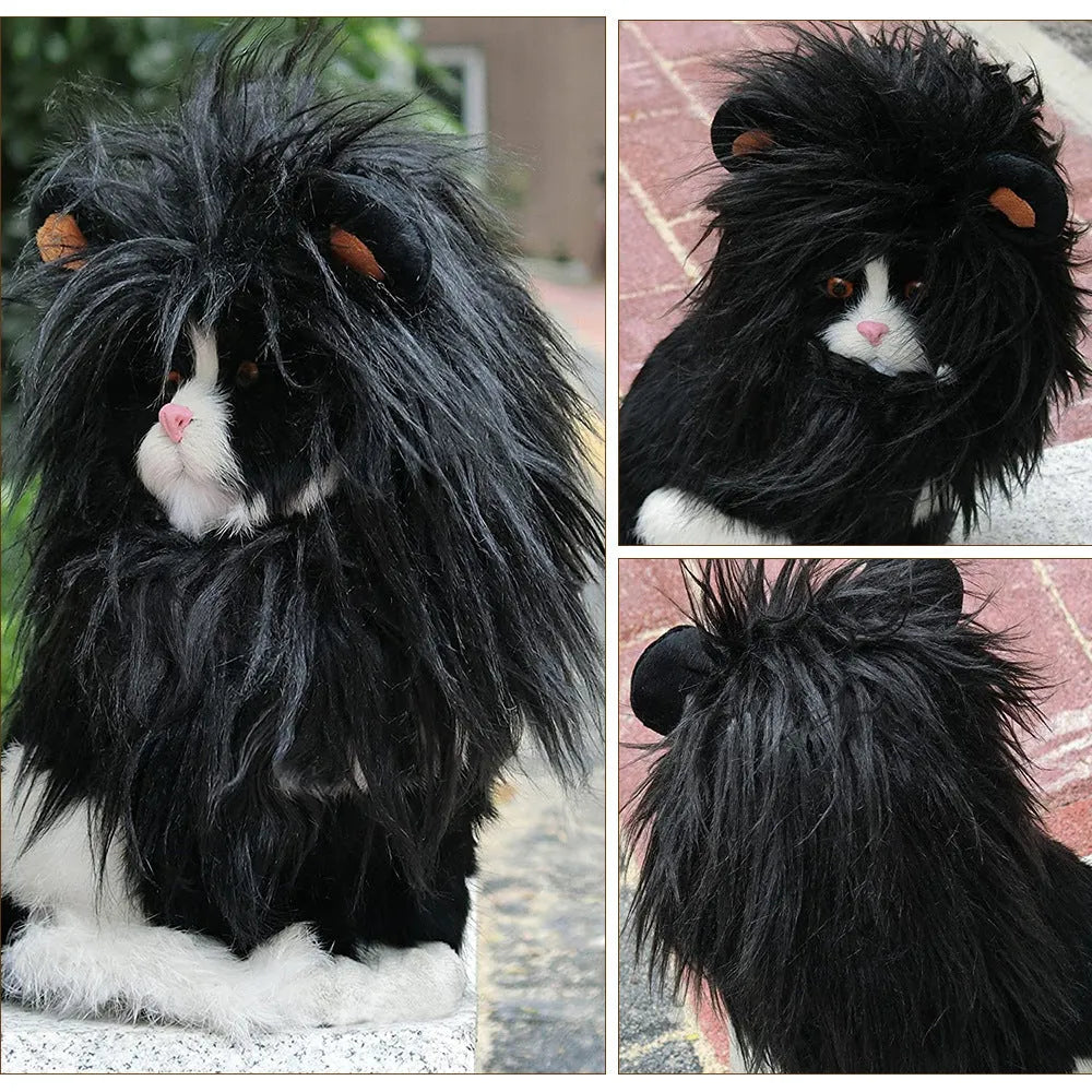 Pet cat wearing lion mane headgear wig hat in black colour for funny costume dress up