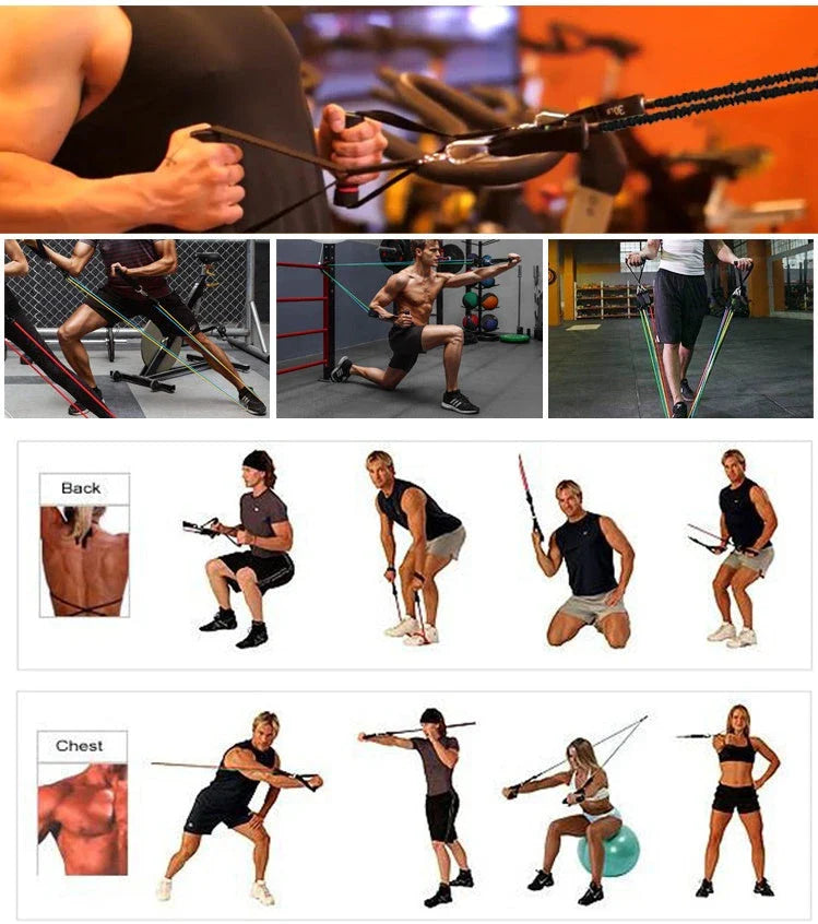 Premium resistance bands in various resistance levels for full-body toning and strengthening exercises