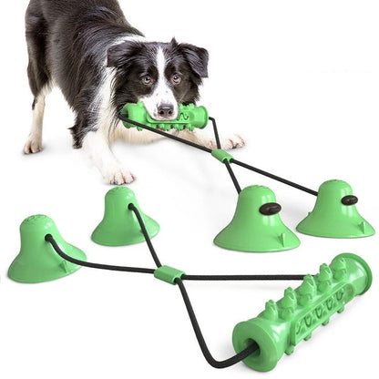 Durable suction cup molar toy for dogs promoting dental health through play