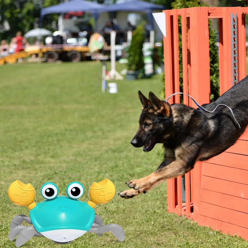 Blue or red electronic crab toy for dogs and cats with lights, shown on a surface.
