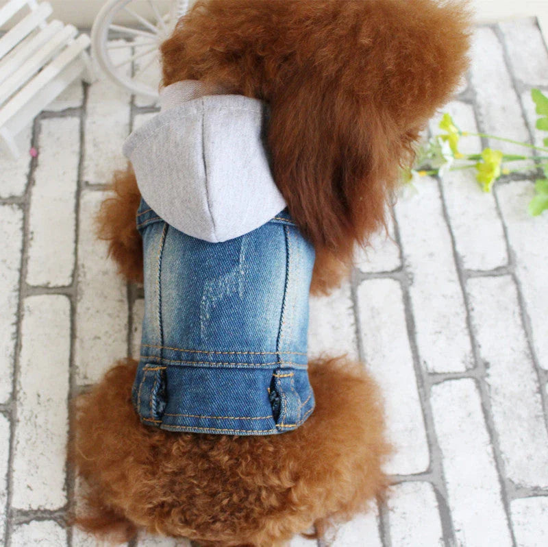 Stylish denim dog jacket with various designs like hoods, fringes, and patterns for trendy pet fashion