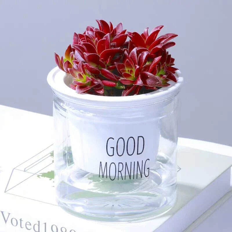 Double tier hydroponic self-watering flowerpot with visual water level for Epipremnum Aureum