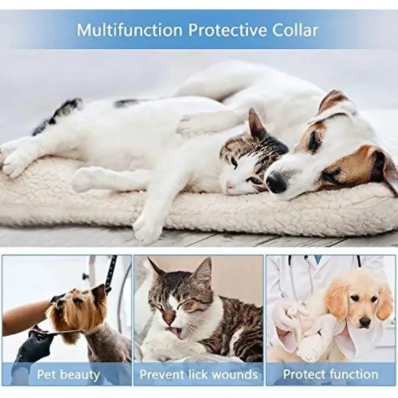Blue inflatable dog recovery collar with velcro closure shown beside size measurement chart