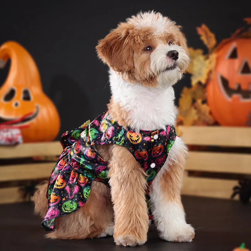 Orange Halloween dog costume with angel wings and a halo, featuring a bright pumpkin print design.