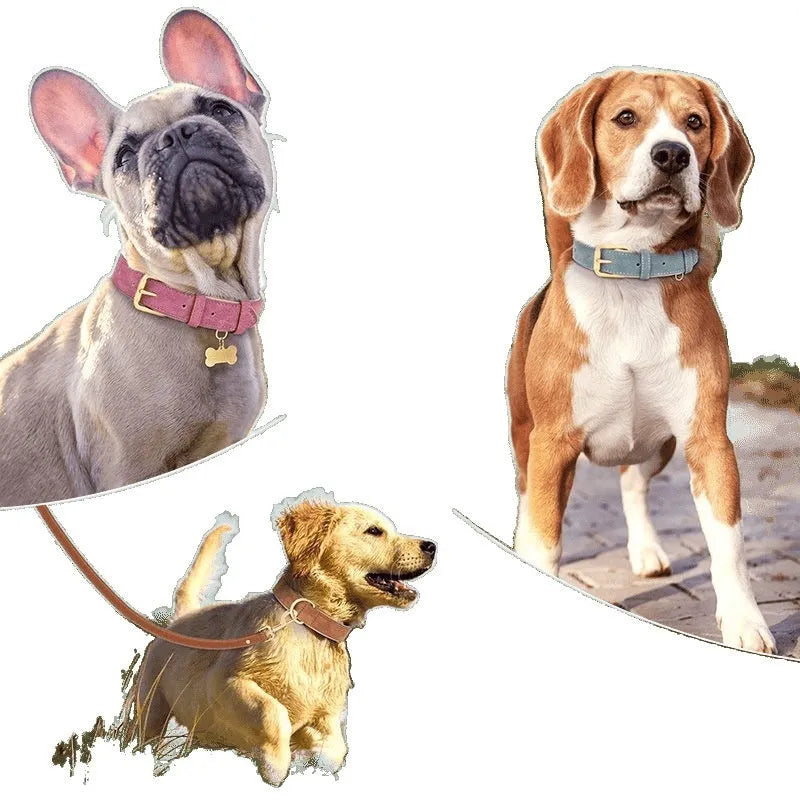 A brown double-layer leather dog collar with a matching lead, shown with size tags S, M, L, XL.