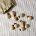 Beech wood ladybird digital teaching aid toy for children 4-6 years, with net pocket storage.