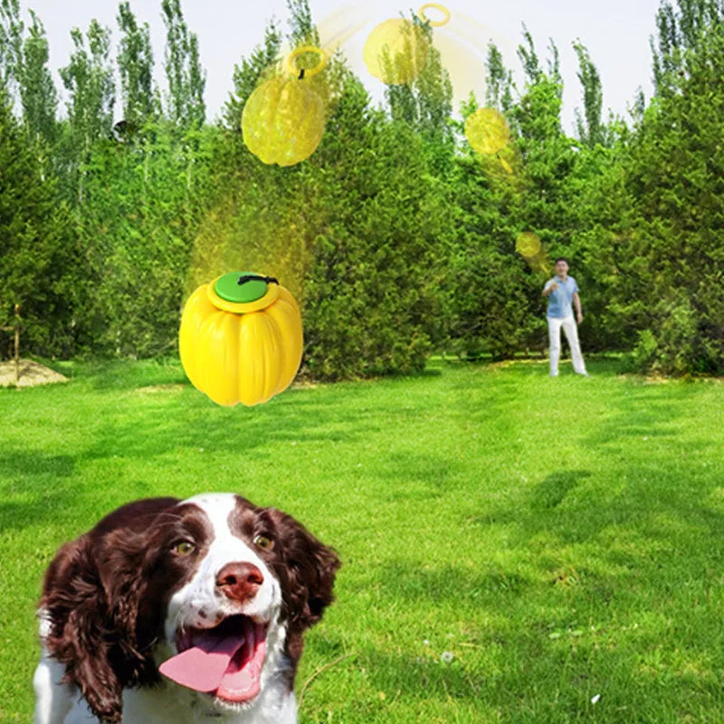 Green, orange, and yellow 69mm Halloween pumpkin dog training ball with squeaker